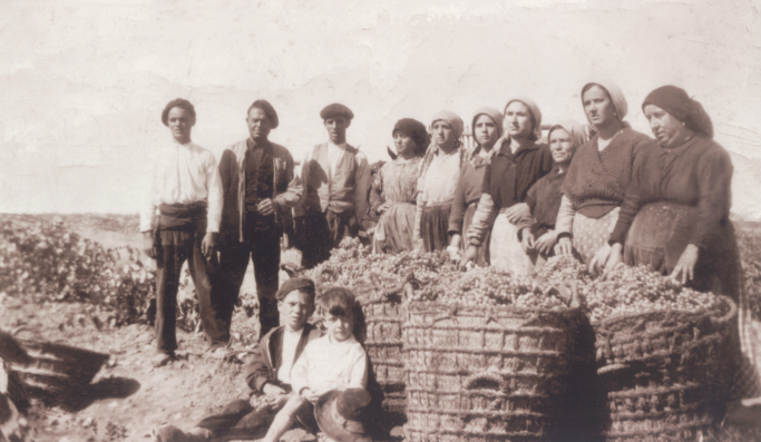 Personas en vendimia