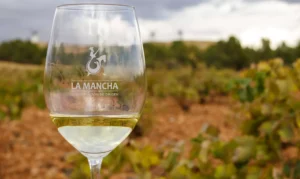 Copa de Airén en viña