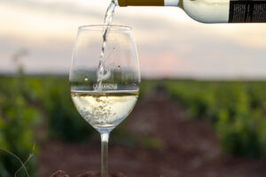 Copa de Airén servida