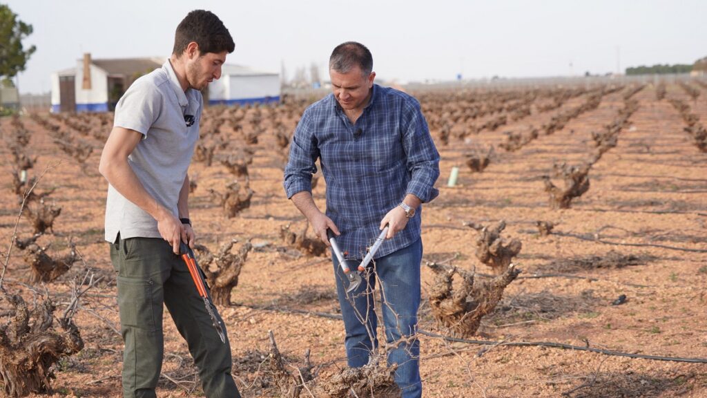 El periodista de cmm conoce en primera persona la poda del airen